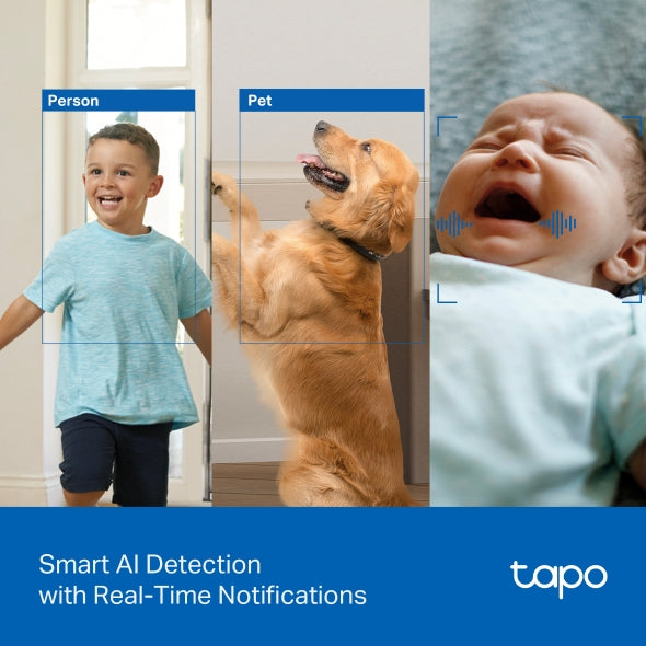 Tapo C250 - 4K 8MP 旋轉式 Wi-Fi 攝影機 Pan/Tilt Security Wi-Fi Camera (4K / 2160 P)